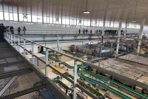 photo_۲۰۲۵-۰۳-۰۲_۰۹-۱۲-۵۷ photo_۲۰۲۵-۰۳-۰۲_۰۹-۱۲-۵۷