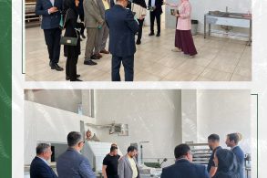 3 3